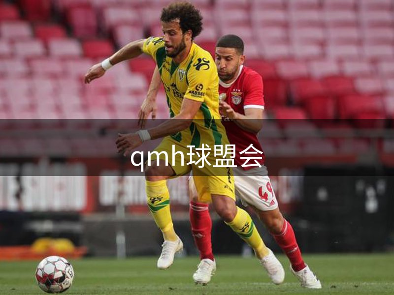 qmh-球盟会·(中国)-官方网站